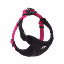 Comfortmesh Dog Leash Collar: Convenient And Stylish Walking Companion For Dogs Of All Sizes-2