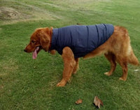 Cozycanine Waterproof Pet Jacket: Stylish Outdoor Attire For Your Furry Friend-2