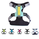 Everyday Adventure Dog Harness