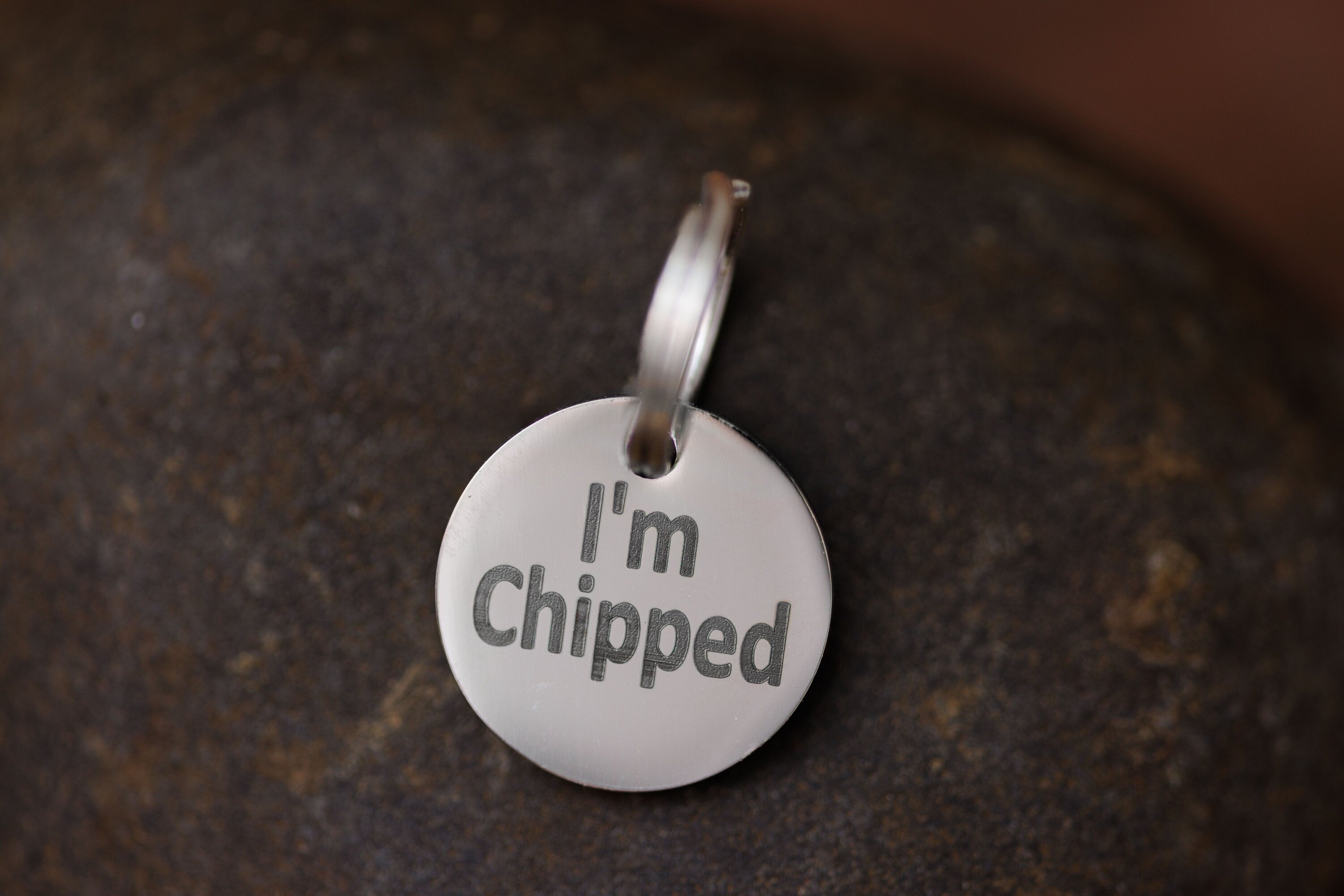 Stainless Steel "MICROCHIPPED" and "I'm Chipped" tags