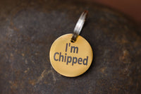 Stainless Steel "MICROCHIPPED" and "I'm Chipped" tags-3
