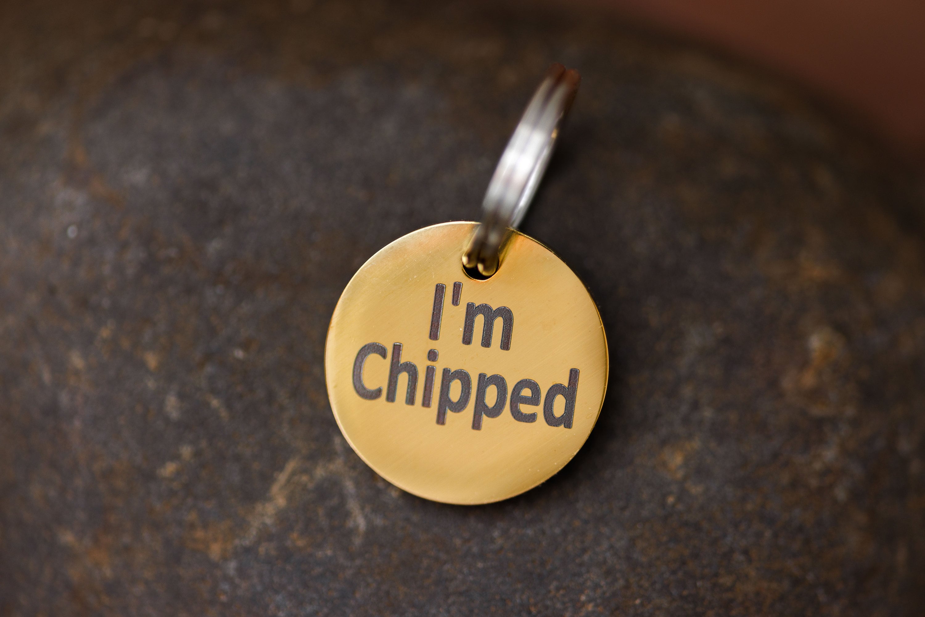 Stainless Steel "MICROCHIPPED" and "I'm Chipped" tags-3