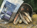 Freeze-Dried Sardines – Brain Busters