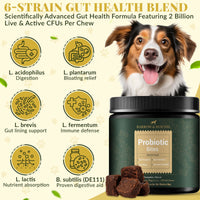 Probiotic Bites for Dogs – Gut Health & Digestive Support