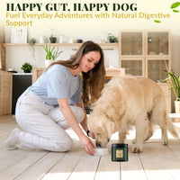 Probiotic Bites for Dogs – Gut Health & Digestive Support