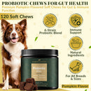 Probiotic Bites for Dogs – Gut Health & Digestive Support