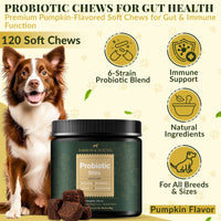 Probiotic Bites for Dogs – Gut Health & Digestive Support