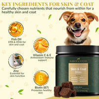Skin & Coat Bites for Dogs – Shine, Strength & Allergy Relief